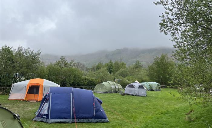 Four large camping fields